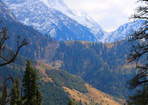 kareri lake trek dharamsala